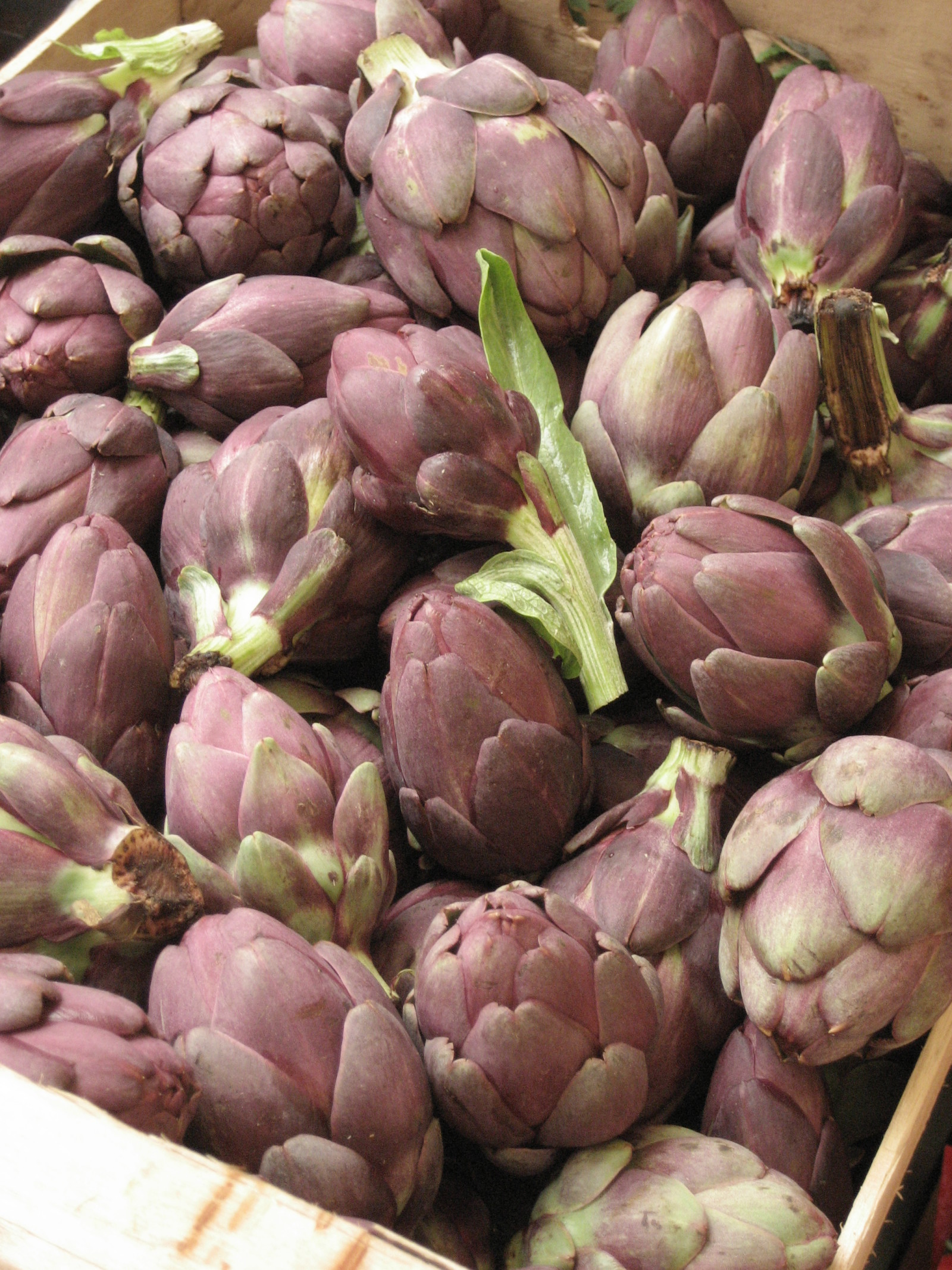 Dit eet je in Rome