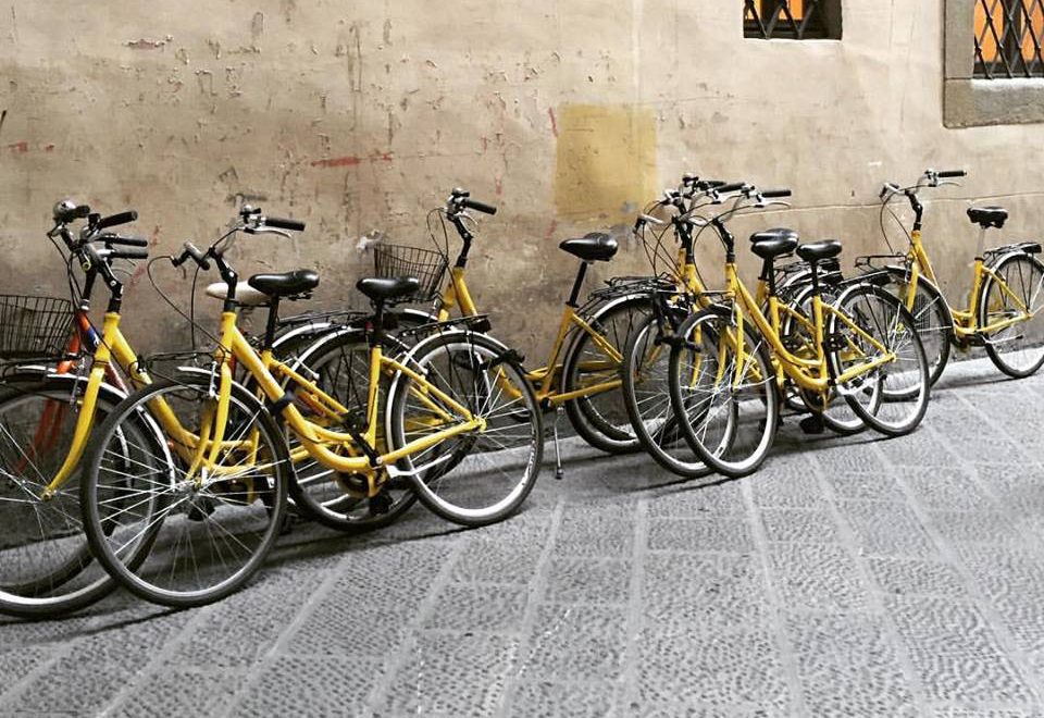 Stadstour: op de fiets door Florence