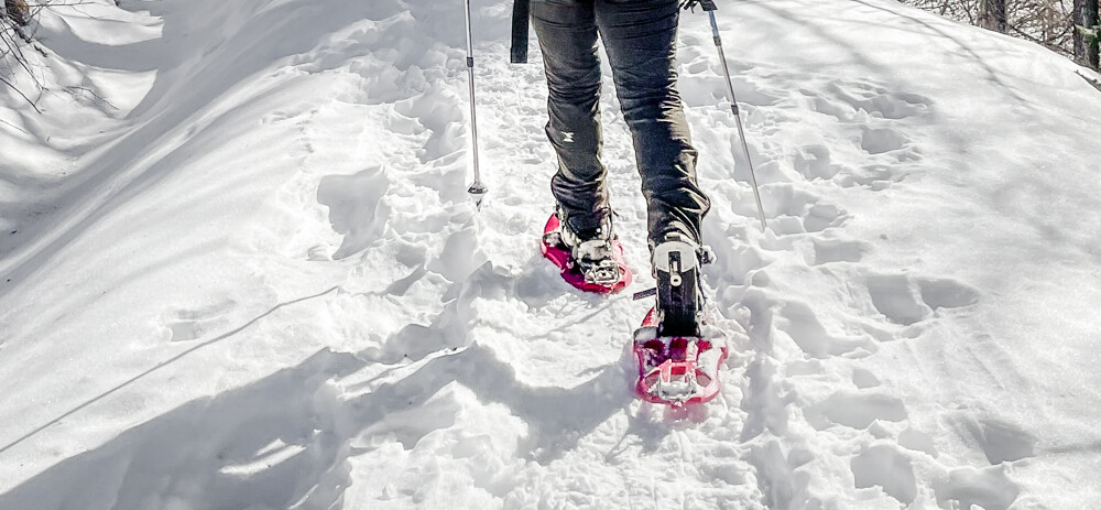 Sneeuwschoenwandelen bij Bardonecchia in Piemonte