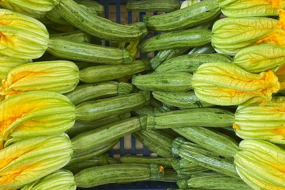 Italiaans eten & drinken - zucchine