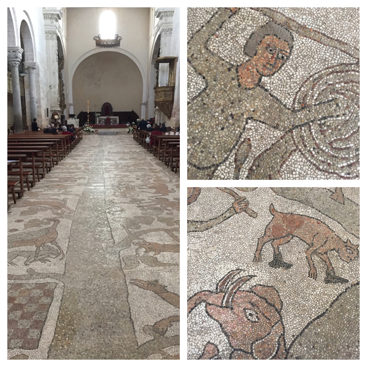 Processed with MOLDIV