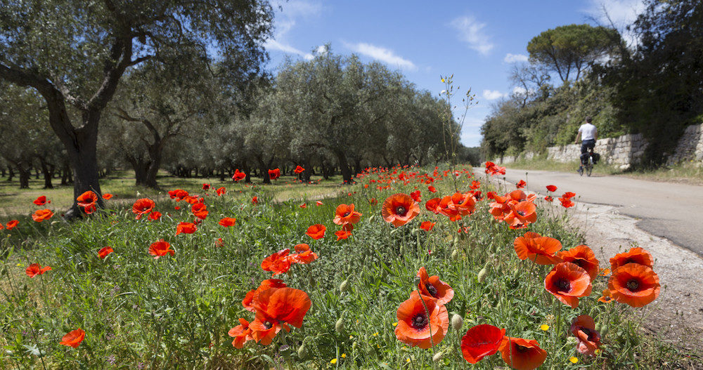 Fietsen in de Salento, de hak van Italië