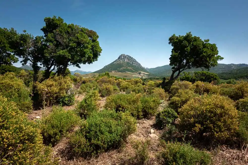 Sardinië
