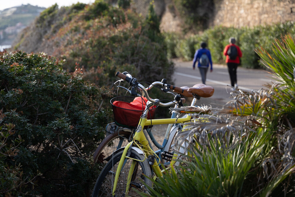 De pista ciclabile van de Bloemenrivièra