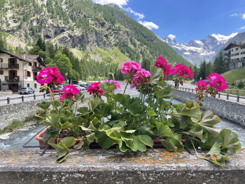 Cogne en Valnontey – vakantie vieren aan de voet van de Gran Paradiso