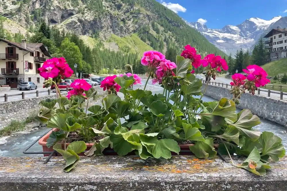 Valnontey, aan de voet van de Gran Paradiso in Valle d'Aosta