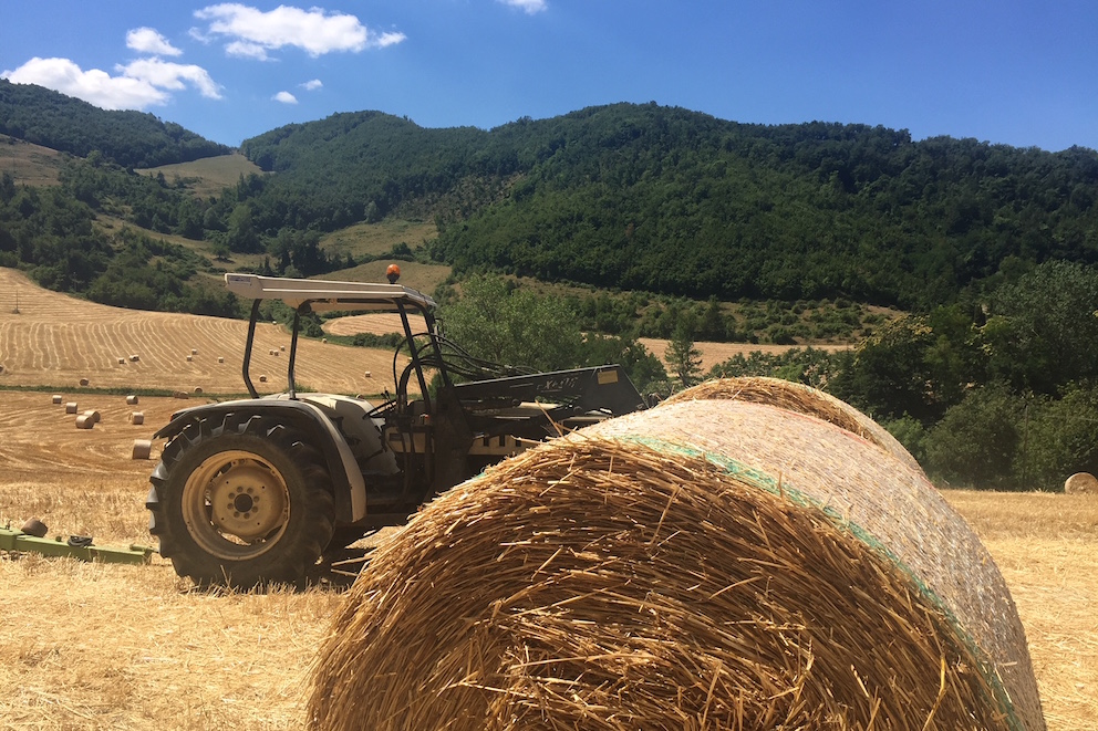 Agriturismo Acero rosso in Emilia-Romagna