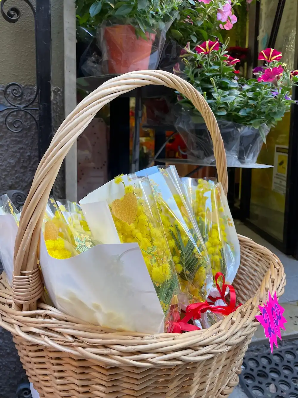 Festa della Donna - overal mimosa op 8 maart