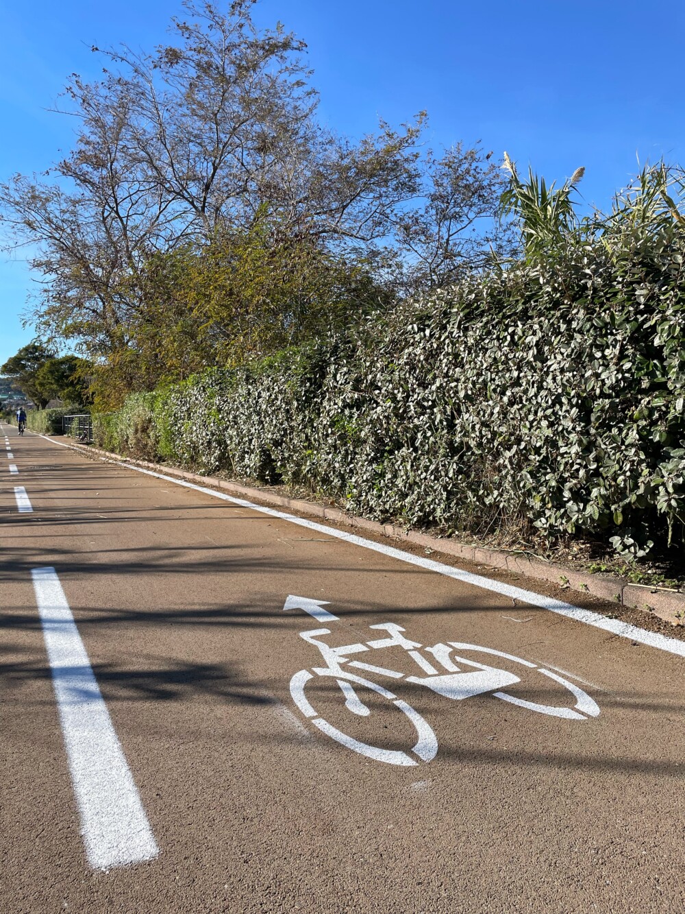De pista ciclabile langs de Ligurische kust