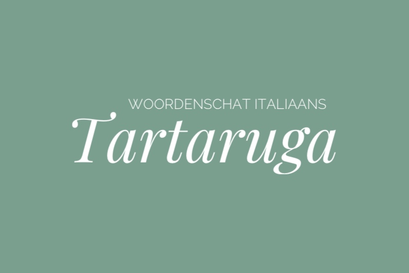 Woordenschat Italiaans – tartaruga
