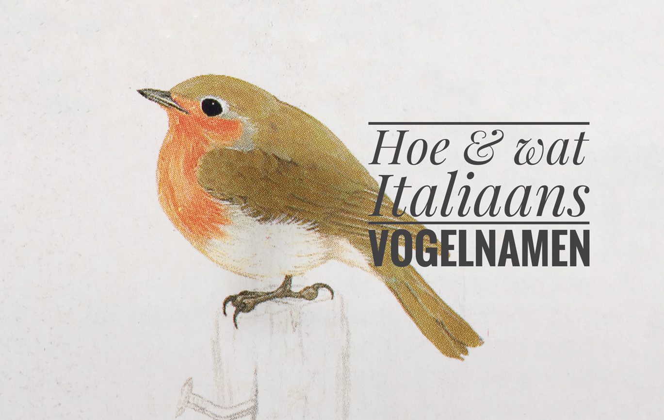 Hoe & wat Italiaans: vogelnamen